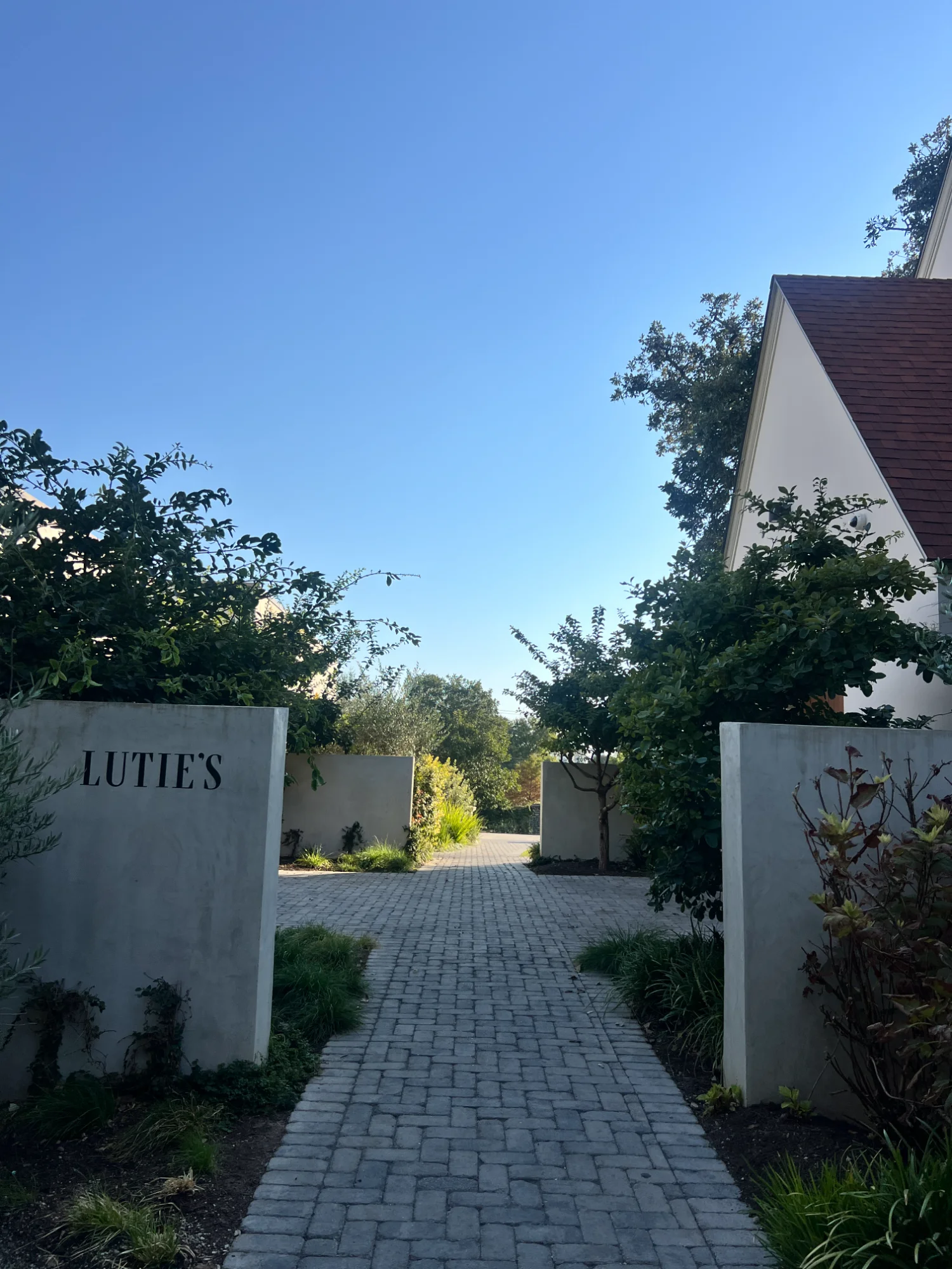 Lutie's entrance: elegant arrival